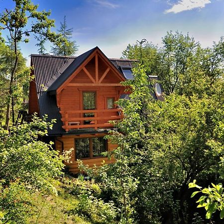 Domki Mroz Zakopane Buitenkant foto