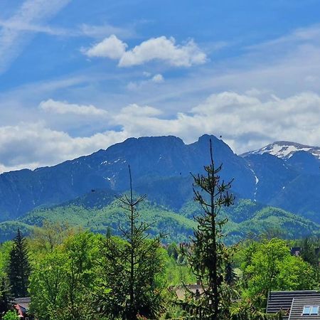 Domki Mroz Zakopane Buitenkant foto