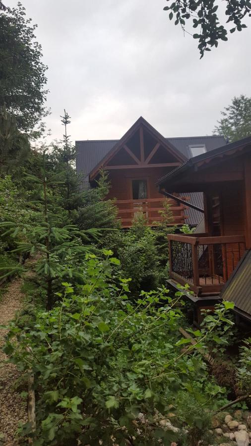 Domki Mroz Zakopane Buitenkant foto