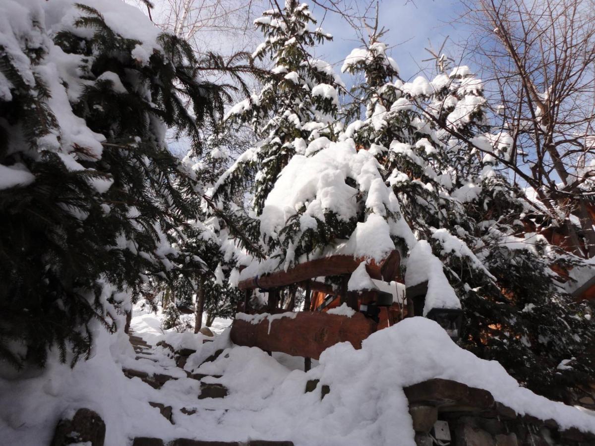 Domki Mroz Zakopane Buitenkant foto