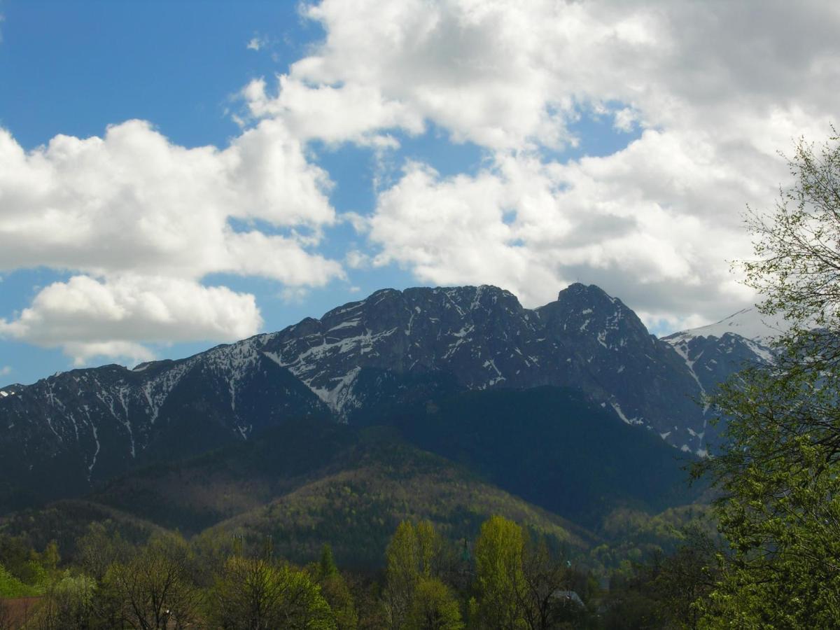 Domki Mroz Zakopane Buitenkant foto