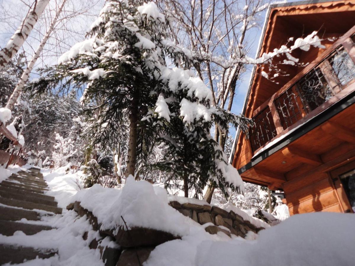 Domki Mroz Zakopane Buitenkant foto
