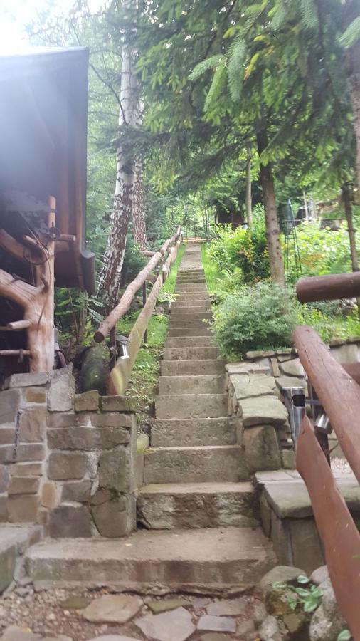 Domki Mroz Zakopane Buitenkant foto