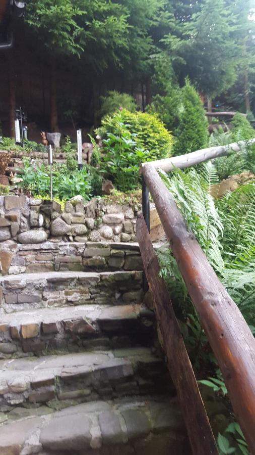 Domki Mroz Zakopane Buitenkant foto