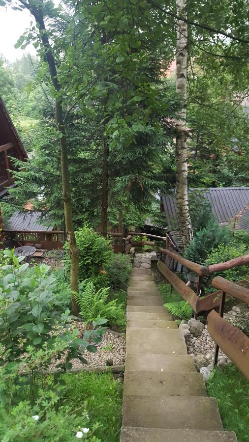 Domki Mroz Zakopane Buitenkant foto