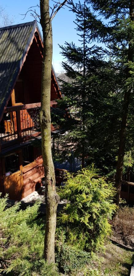 Domki Mroz Zakopane Buitenkant foto