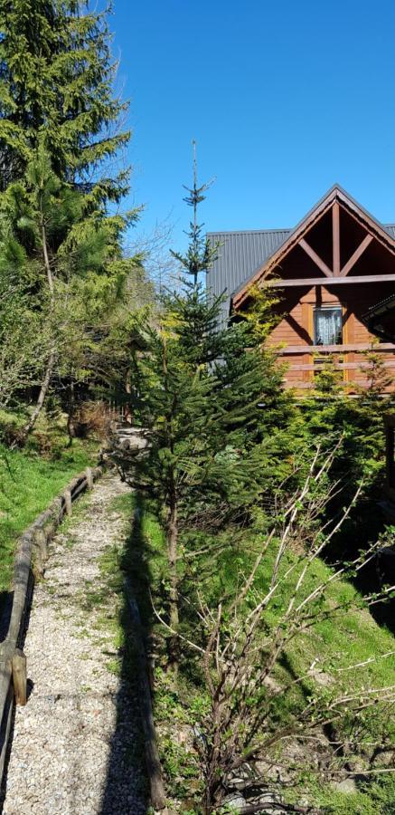 Domki Mroz Zakopane Buitenkant foto