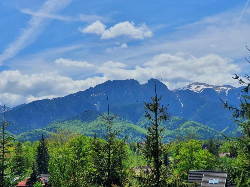 Domki Mroz Zakopane Buitenkant foto